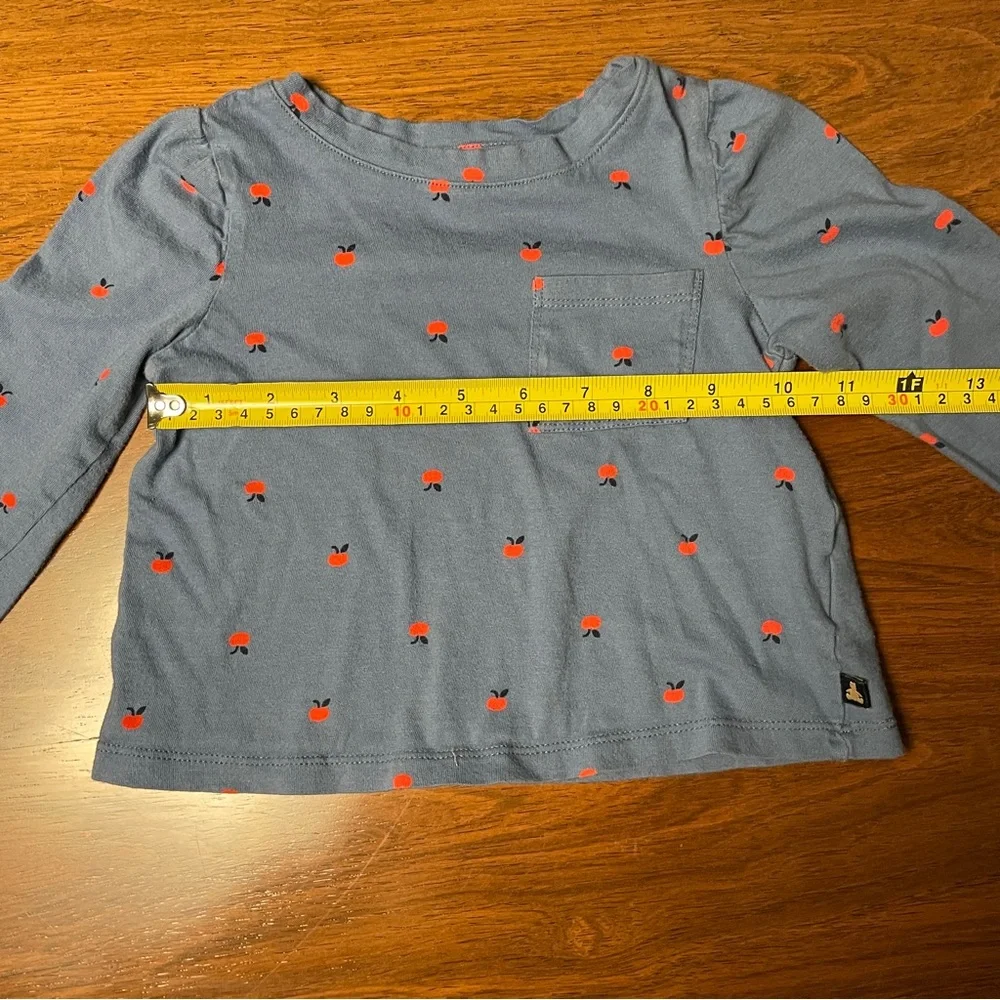 GAP Long Sleeve Blue Tee with Red apples. Size 2 years, 2T.